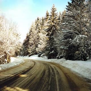 Winter road trees wallpaper