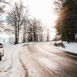 Winter road trees wallpaper