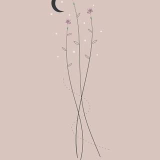 Drawing phone wallpaper