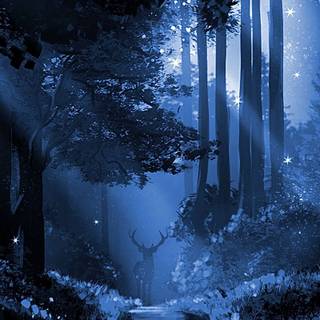 Night anime phone wallpaper