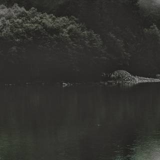 Dark nature iPhone wallpaper