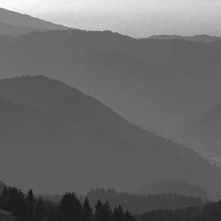 Dark nature iPhone wallpaper