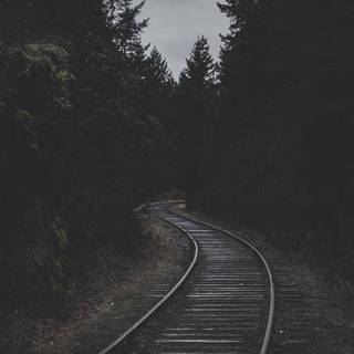 Dark nature iPhone wallpaper