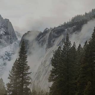 Dark nature iPhone wallpaper