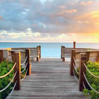 Bright iPhone wallpaper