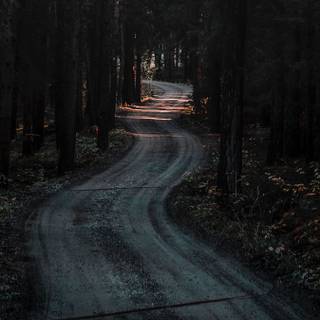 Dark nature iPhone wallpaper