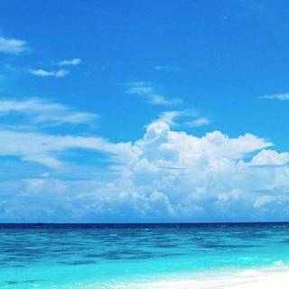 Bright iPhone wallpaper