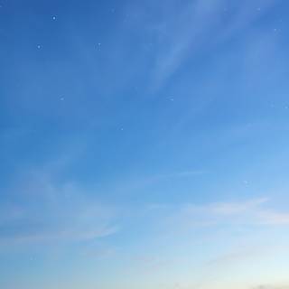 Bright iPhone wallpaper