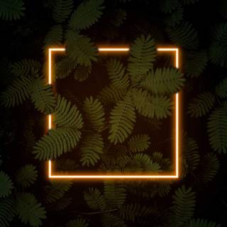 Dark nature iPhone wallpaper