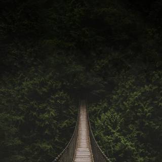 Dark nature iPhone wallpaper