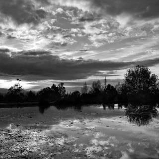 Dark nature iPhone wallpaper