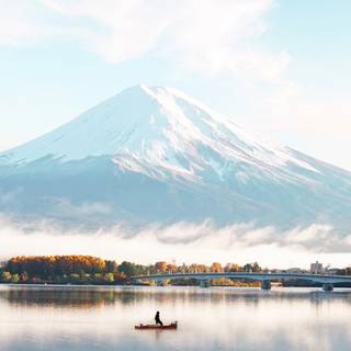 Bright iPhone wallpaper