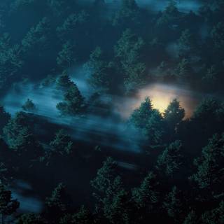 Dark nature iPhone wallpaper