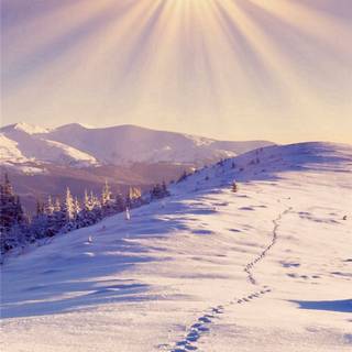 Bright iPhone wallpaper