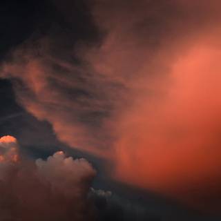 Dark nature iPhone wallpaper