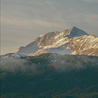 Bright iPhone wallpaper