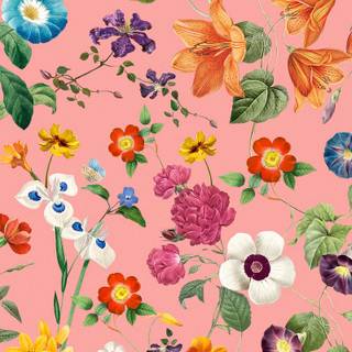 Bright iPhone wallpaper