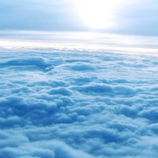 Bright iPhone wallpaper