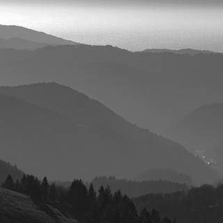 Dark nature iPhone wallpaper