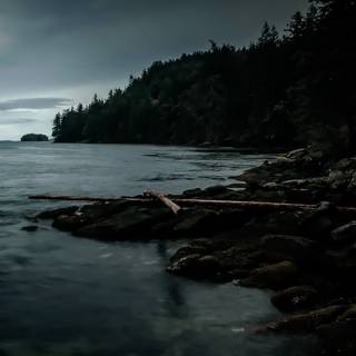 Dark nature iPhone wallpaper