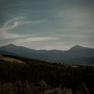 Dark nature iPhone wallpaper