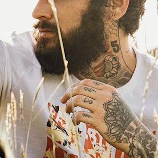 Zayn Malik iPhone wallpaper