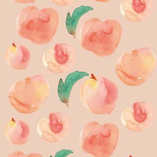 Peach iPhone wallpaper