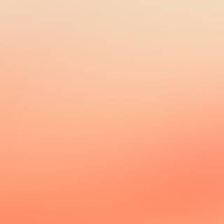 Peach iPhone wallpaper