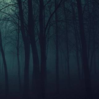 Dark forest phone wallpaper