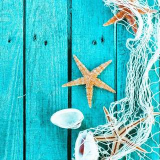 Teal iPhone wallpaper