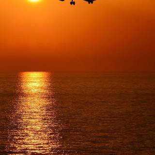 Phone plane wallpaper