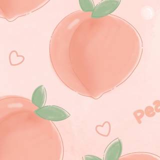 Peach iPhone wallpaper