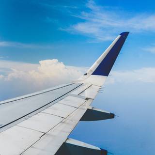 Phone plane wallpaper