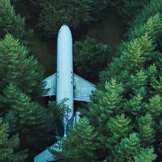 Phone plane wallpaper