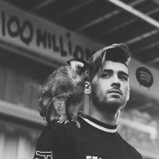 Zayn Malik iPhone wallpaper