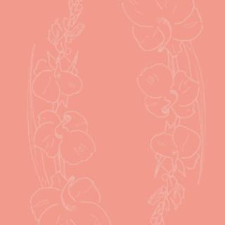 Peach iPhone wallpaper