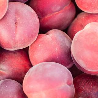 Peach iPhone wallpaper