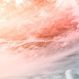 Peach iPhone wallpaper