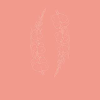 Peach iPhone wallpaper