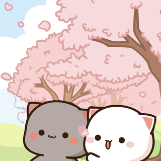 Peach iPhone wallpaper