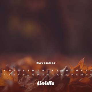 November 2023 calendar wallpaper