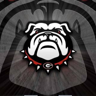 Georgia Bulldogs iPhone wallpaper