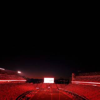 Georgia Bulldogs iPhone wallpaper
