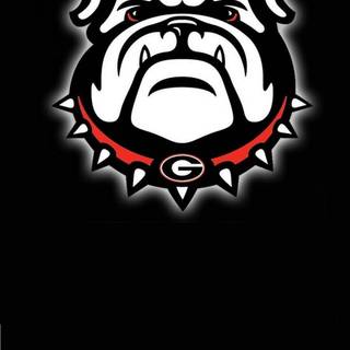 Georgia Bulldogs iPhone wallpaper