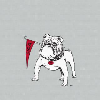 Georgia Bulldogs iPhone wallpaper