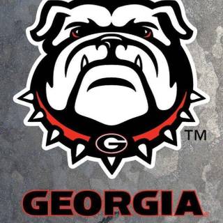 Georgia Bulldogs iPhone wallpaper