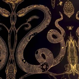Snake black and gold wallpaper