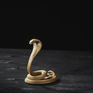 Snake black and gold wallpaper