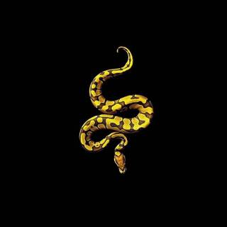 Snake black and gold wallpaper