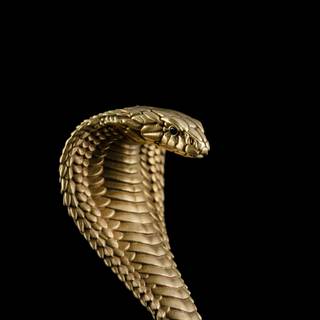 Snake black and gold wallpaper